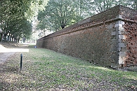 Img 161